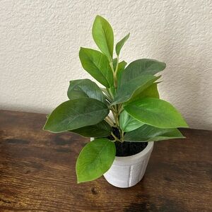 Artificial Green Plant in Pot